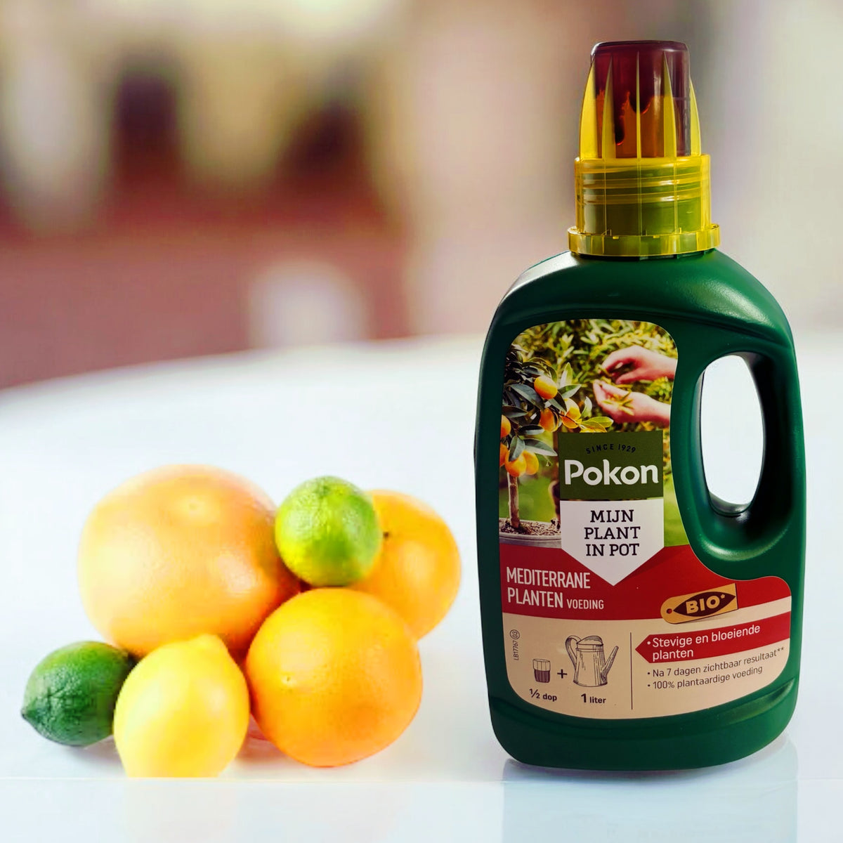 Ingrasamant citrice BIO 500ml (Citrice, Leandru, Maslini)