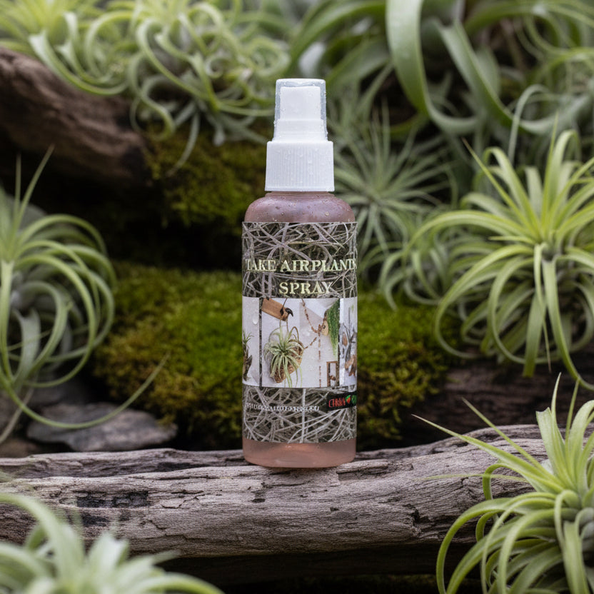Spray nutriente per piante aeree (Tillandsia) - fertilizzante organico
