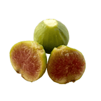 Feigenbaum auf Stamm - Ficus carica ‘Fiorone’ (Fiorone Bianco) - 100 cm