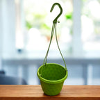 D15 cm plastic pot with 30/32 cm hanger