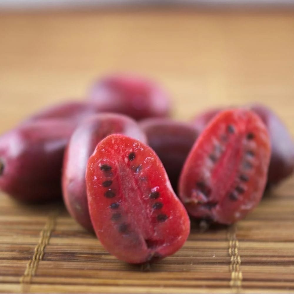 Kiwi - Actinidia arguta 'Ken's Red' (Red Kiwi)