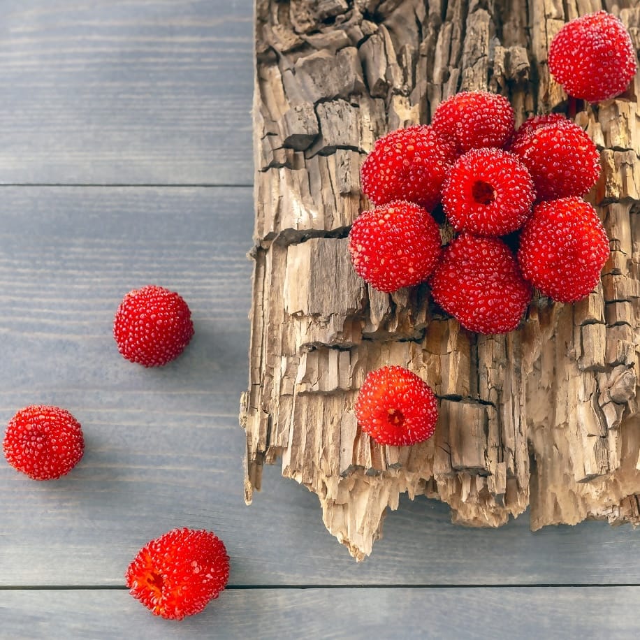 Capsun-Zmeur Japonez - Rubus illecebrosus