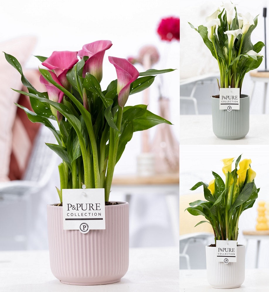 Vas decorativ din ceramica roz Sophie Pink D13