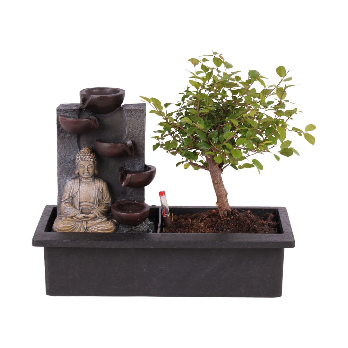 Bonsai - 'Buddha' Waterfall fountain