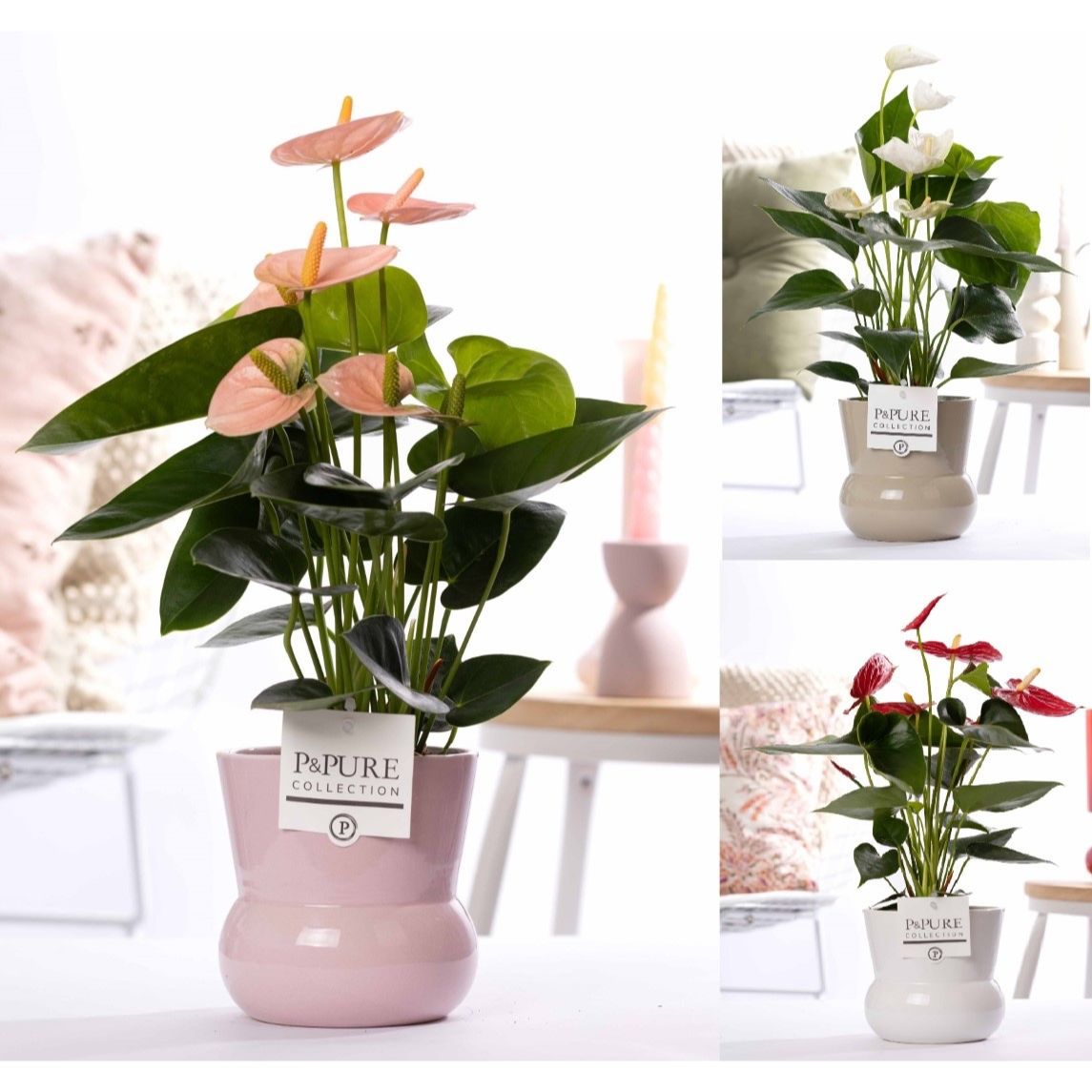 Vas decorativ din ceramica roz Maxima D13