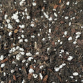 Substrat orhidee Vanilla, Ludisia, Epidendrum - pamant premium orhidee