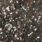 Substrat orhidee Vanilla, Ludisia, Epidendrum - pamant premium orhidee