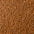 Hidrogranule din argila (LECA) 2-5 mm *forma neregulata