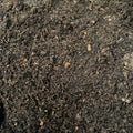 Coconut Husk Flake Substrate (Peat)